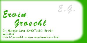 ervin groschl business card